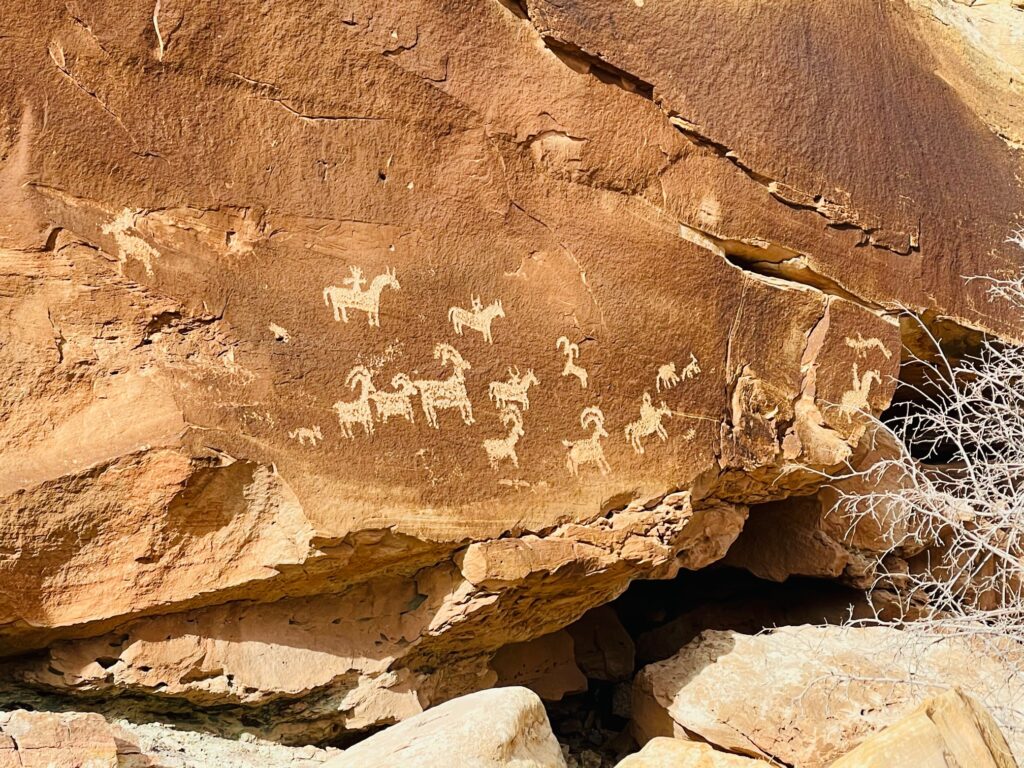 petroglyphs